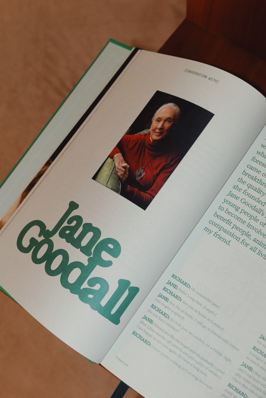 The Guide to Becoming Alive