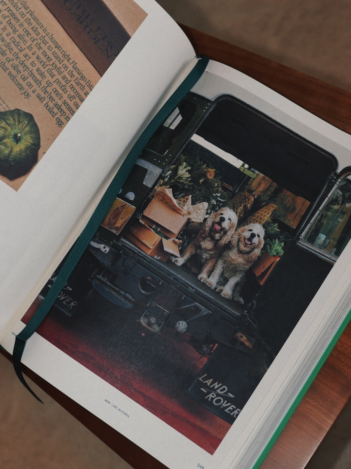 Open book with a Land Rover advertisement featuring two dogs.