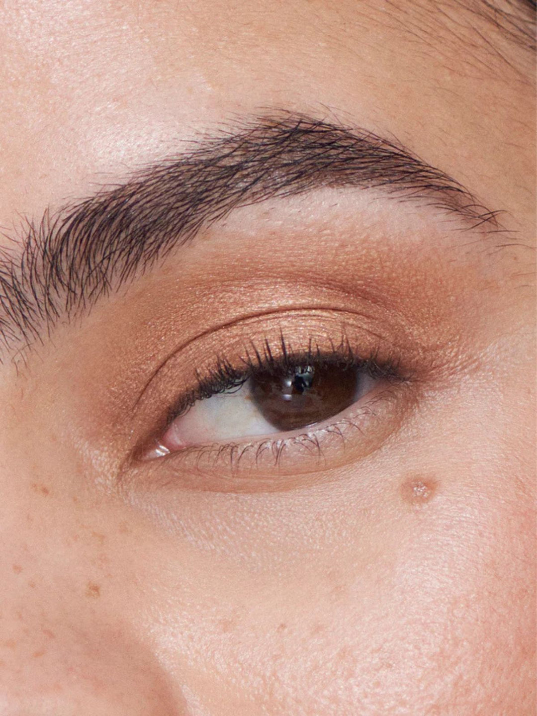 Ilia Beauty Eye Tint Liquid Powder Chromatic Burnish