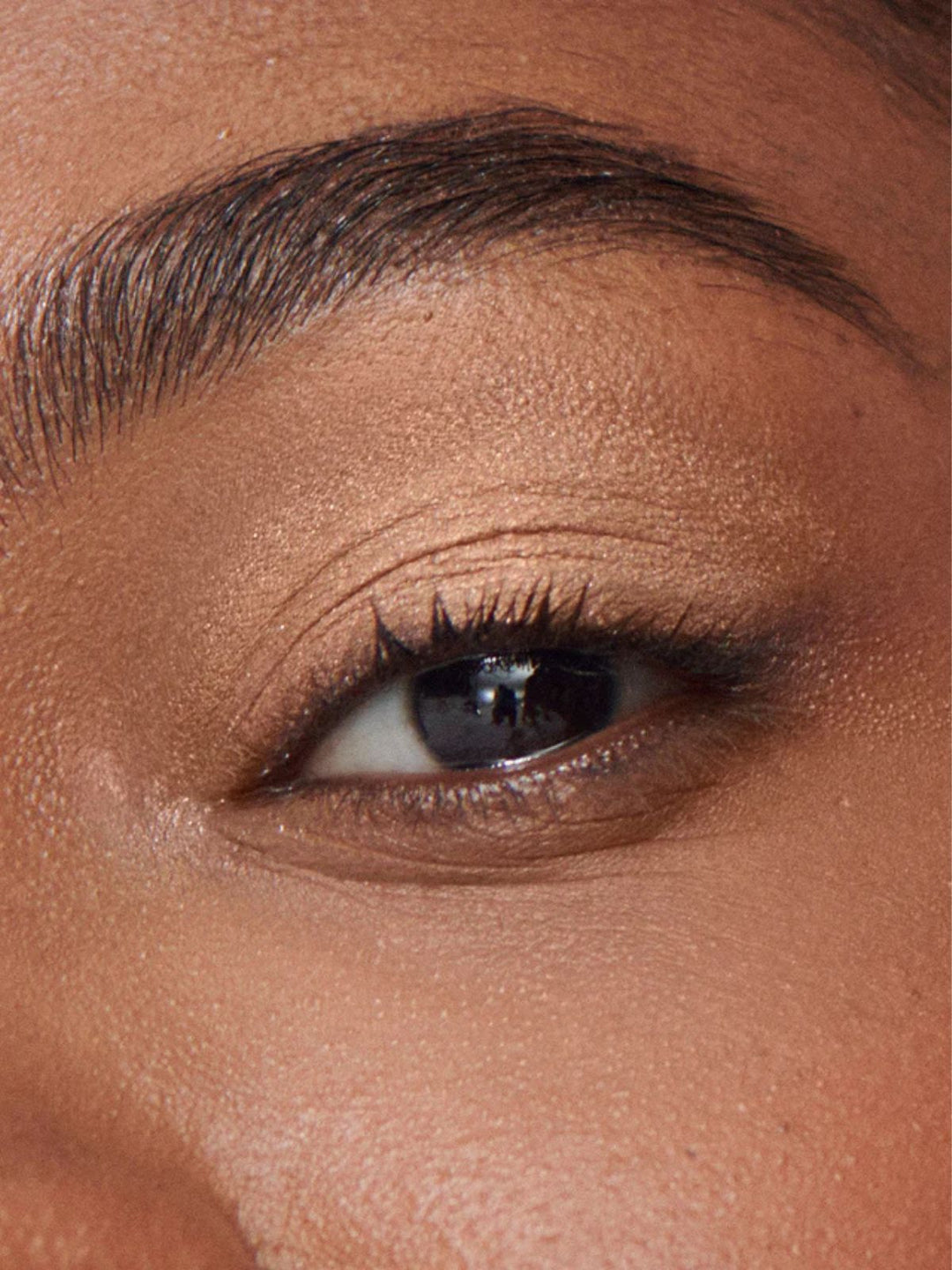 Ilia Beauty Eye Tint Liquid Powder Chromatic Burnish