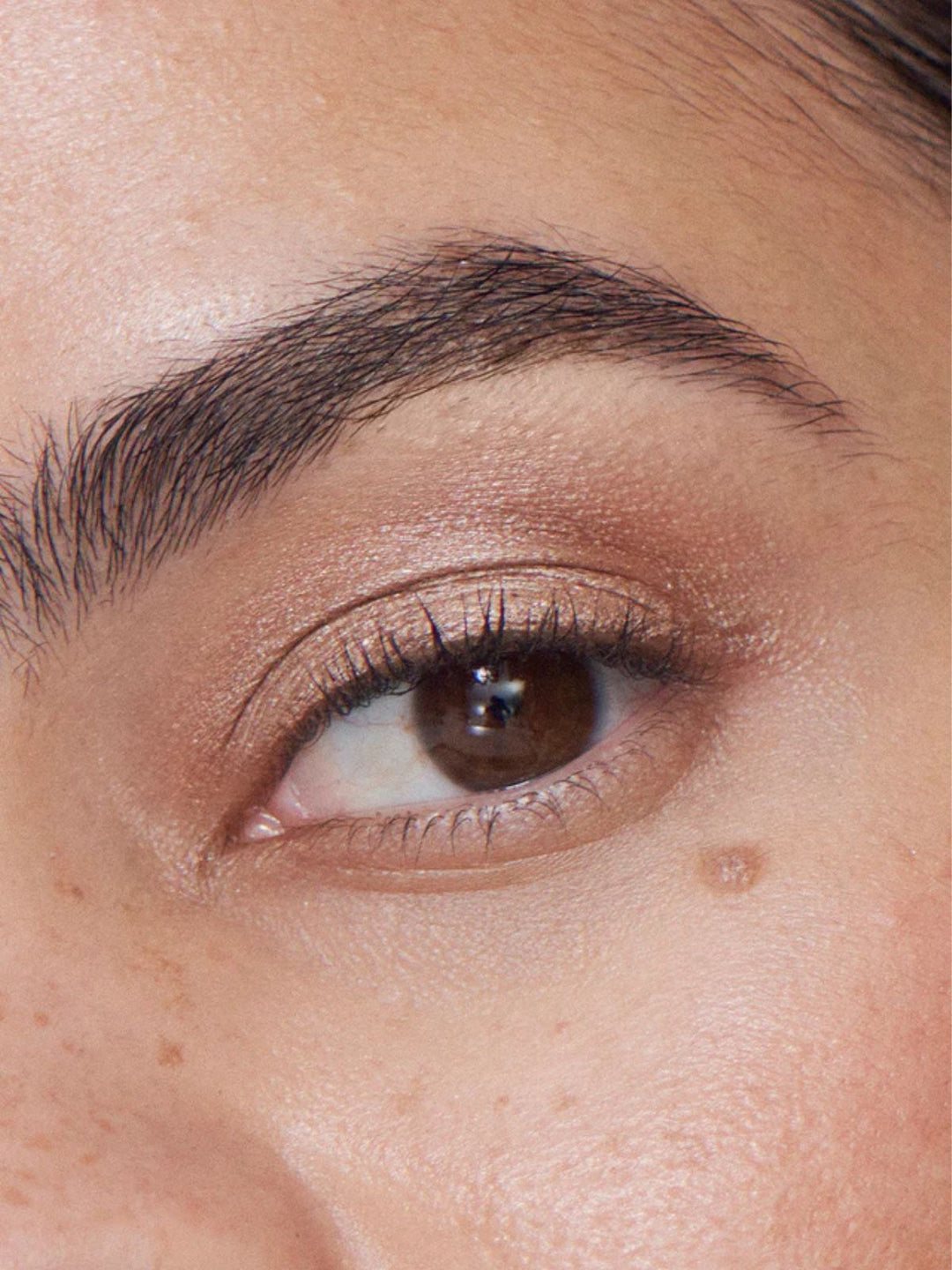 Ilia Beauty Eye Tint Liquid Powder Chromatic Fresco