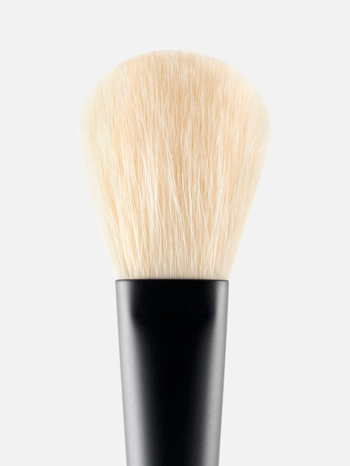 Powder Brush