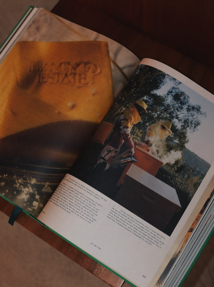 Open book with images of a horse and landscape. The Guide to Becoming Alive Flamingo Estate